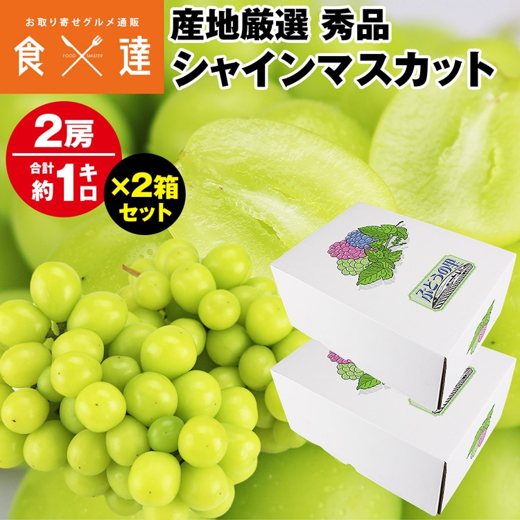 シャインマスカット 2箱 4房 2kg (1箱あたり 2房 1kg 秀品）ぶどう 産地厳選 贈答用 ギフト ブドウ 白ぶどう 葡萄 種無し 冷蔵便 同梱不可 指定日不可