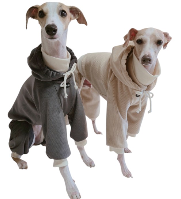 ウィペット服 コーデュロイ パーカー リブ地 ロンパース つなぎ イタグレ服 小型犬 中型犬 大型犬 春 秋 冬服