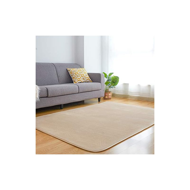 VK Living カーペット ラグ ラグマット 絨毯 200250cm(約3畳) 洗える 滑り止め付 防ダニ 抗菌 防臭 1年中使えるタイプ 床暖房 ホットカーペット対応 ふわっと手触り 優しいフ