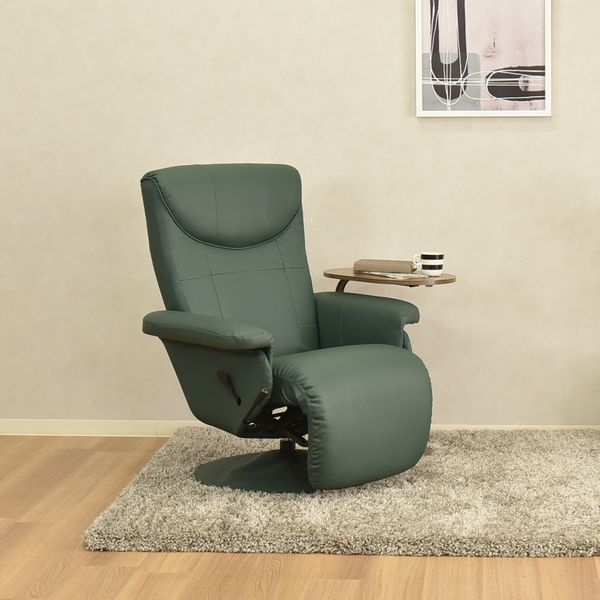 タマリビング パーソナルチェア レミニス GN メーカー直送