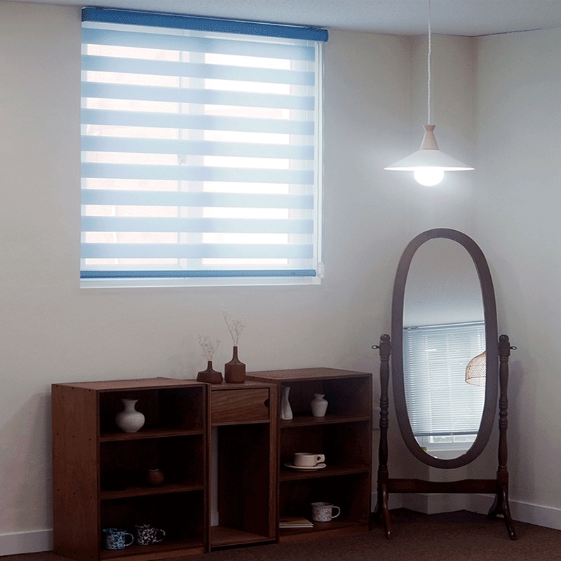 1+1 BASIC 10色 韓国コンビブラインド ロールスクリーン カスタムメイド