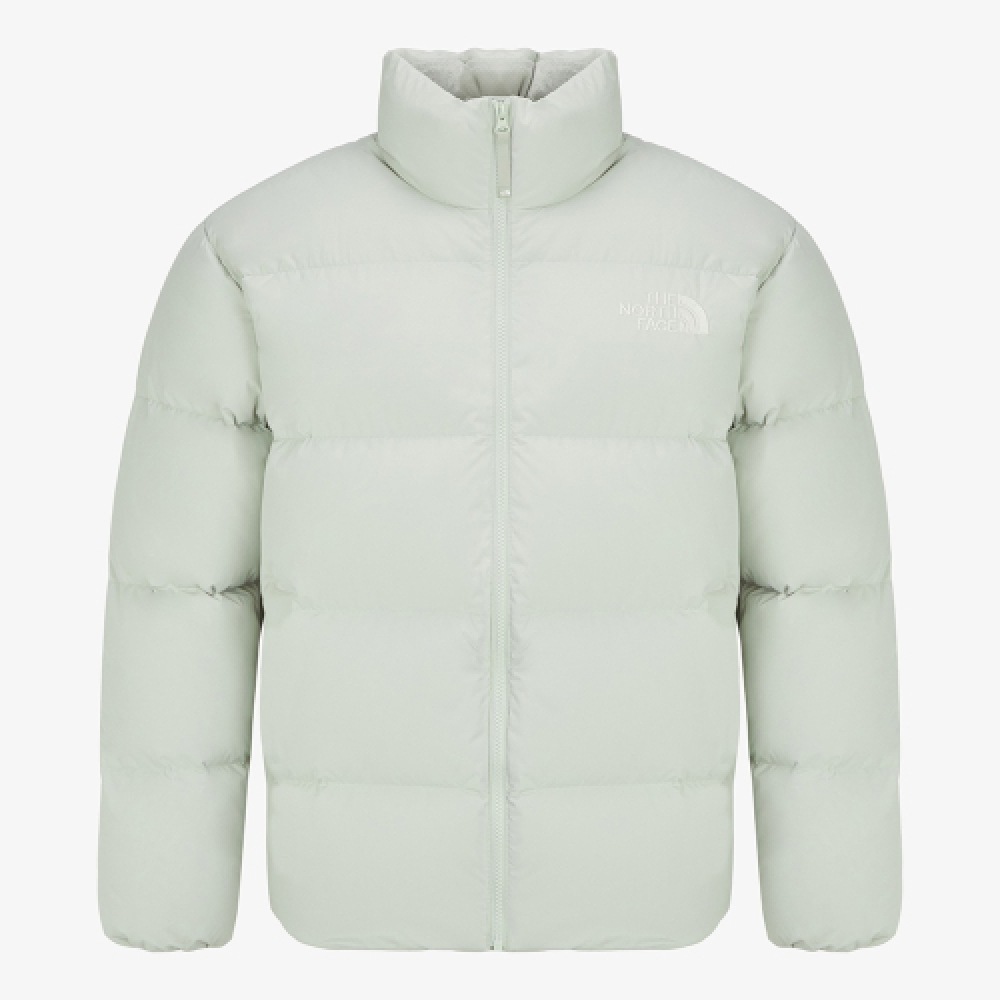 ザノースフェイス NJ1DQ71C メンズロフティ RDS ダウンジャケット_アイスグリーン