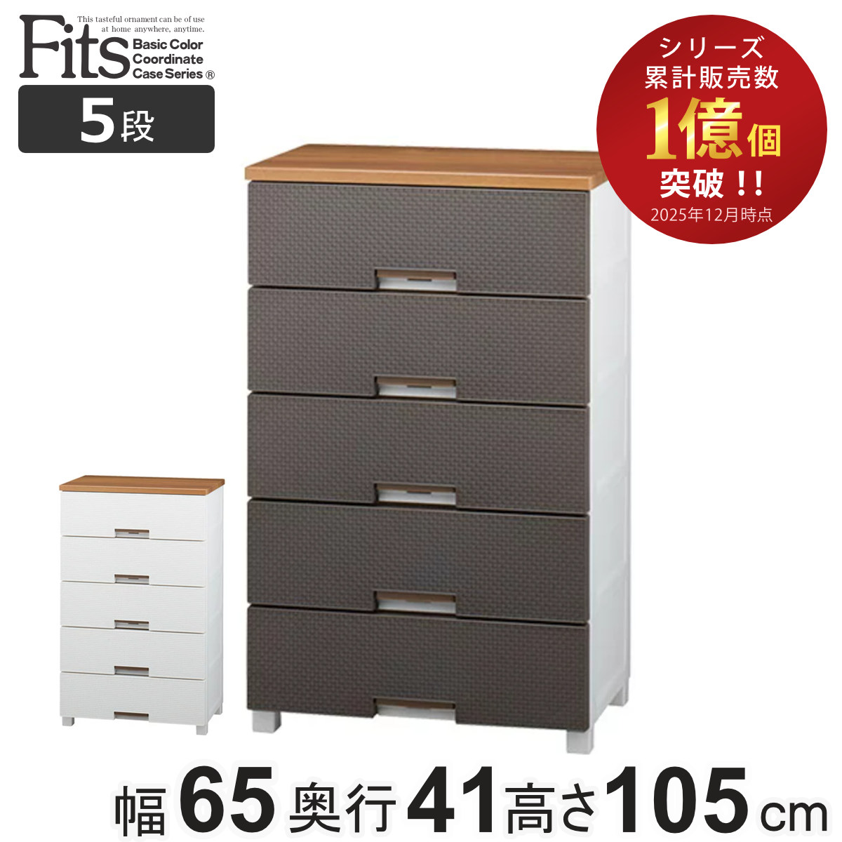 チェスト フィッツプラス メッシュ 5段 幅65x奥行41x高さ105cm FM6505 プラスチック 引き出し 日本製 完成品 タンス 収納 衣類収納 Fits フィッツ 衣装ケース