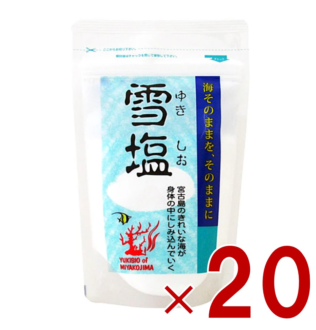 雪塩 パラダイスプラン 宮古島 120g パウダータイプ スタンドパック 塩 調味料 ミネラル 塩分補給 熱中症対策 沖縄 お土産 贈り物 人気 天ぷら 20個