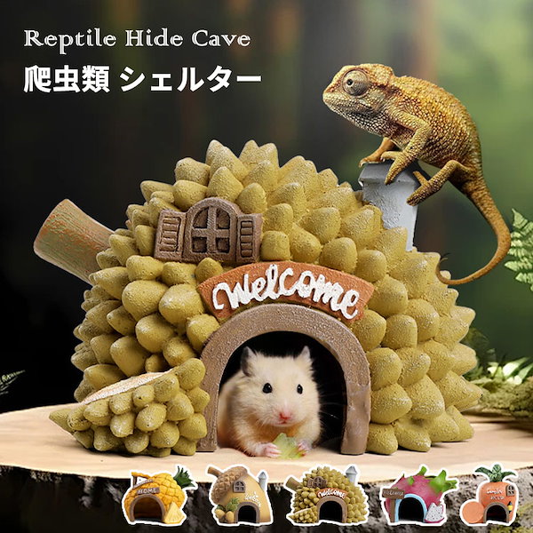 爬虫類用レイアウト用品 洞窟型装飾 新品 爬虫類シェルター 木の洞窟型【Lサイズ】両生類用シェルター 水槽