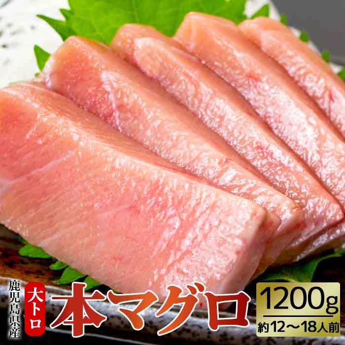 鹿児島県産 本マグロ【大トロ】 約12-18人前 200g6袋 大容量 1.2kg 1200g 黒マグロ 本まぐろ マグロ 鮪 本鮪 黒鮪 まぐろ 黒まぐろ 柵 中とろ トロ 寿司