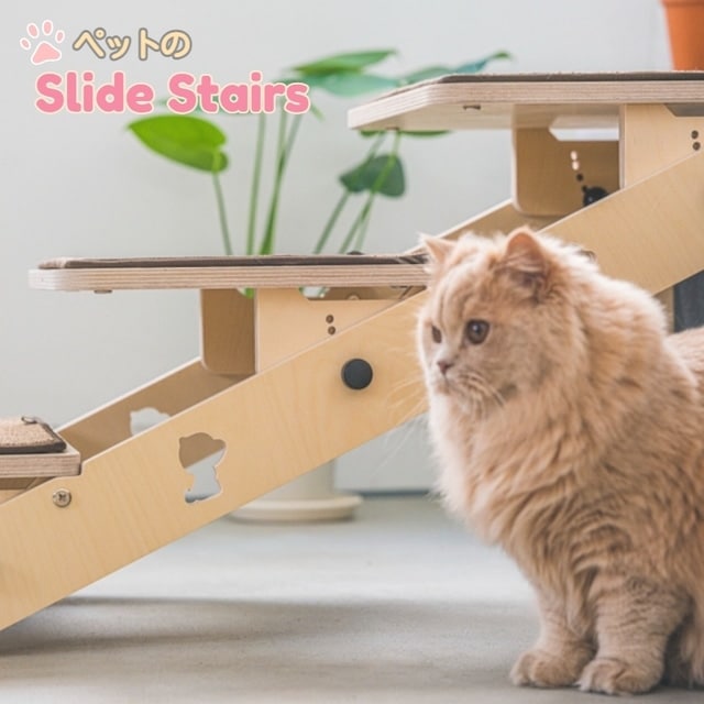 猫　ねこ　スライド階段　しつけ　関節　介護　家具　ペット　犬　いぬ