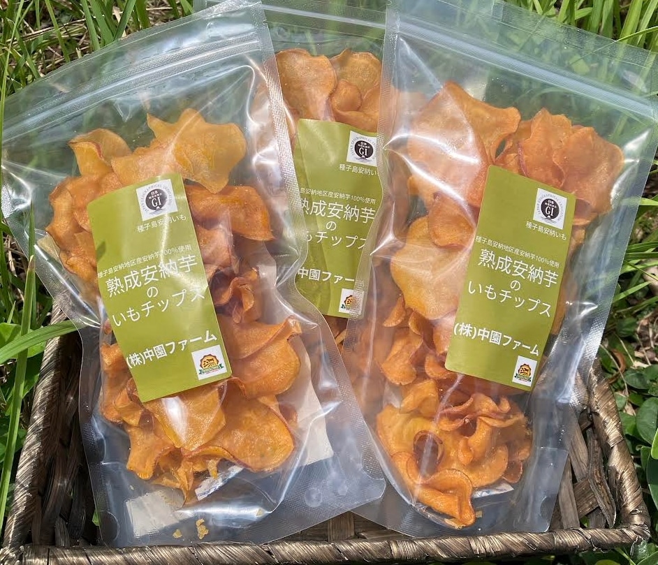 熟成安納芋の黄金塩けんぴと塩チップス　50g×8袋　無添加・自社栽培・自然派おやつ