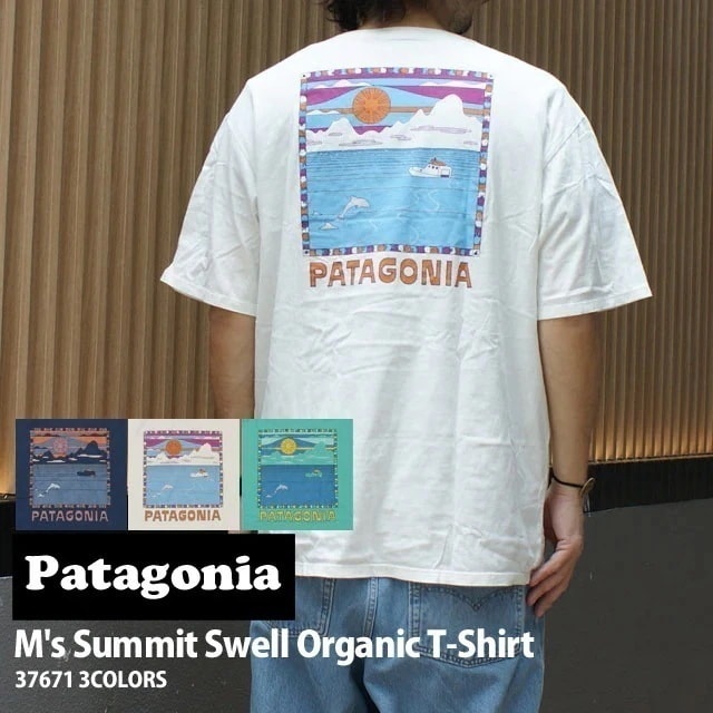 パタゴニア Patagonia Ms Summit Swell Organic Tee サミット スウェル オーガニックティー 37671 200-009078-145