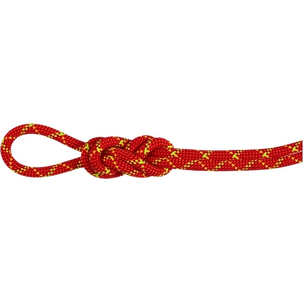 MAMMUT マムート 8.0 Alpine Core Protect Dry Rope 60m アウトドア クライミング用品 201005070-3788