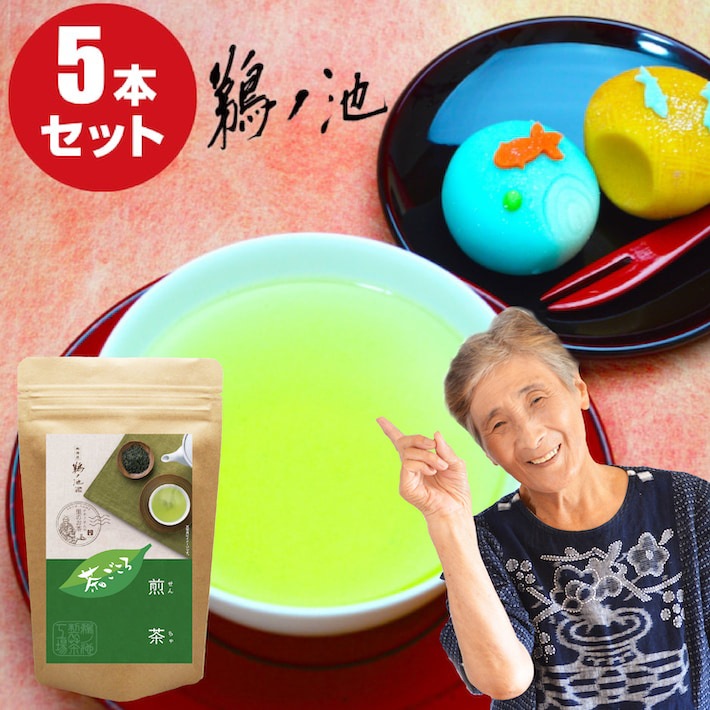 八女茶 煎茶 茶ごころ 100g 5袋セット 自社栽培茶 安心安全 国産茶 緑茶 ネコポス