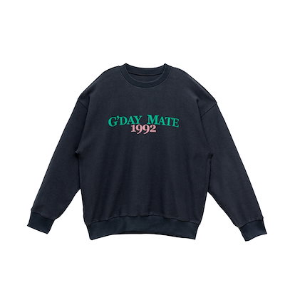 新倉晴比古 義山朝顔平茶碗 共箱有り 茶道具 【公式通販】