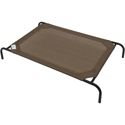 初瀬川柳庵 柳庵好献紙 盆 十客 共箱(LC961) 【公式通販】