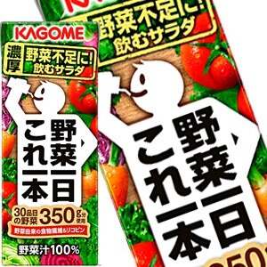 カゴメ 野菜一日これ一本 200ml紙パック48本［24本2箱］［賞味期限：3ヶ月以上］［送料無料］45営業日以内に出荷