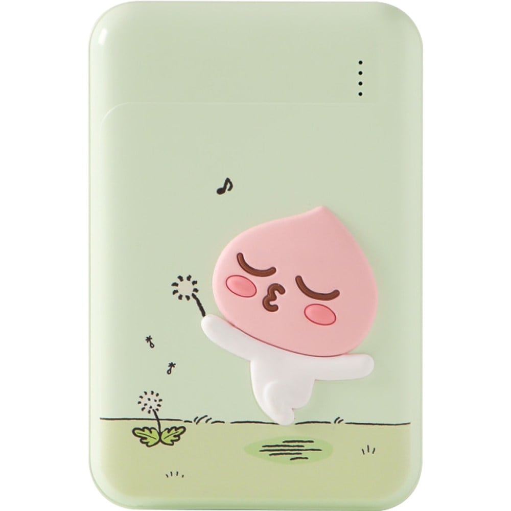 高速充電補助バッテリー+ TYPE Cケーブルセット