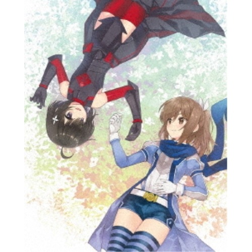 痛いのは嫌なので防御力に極振りしたいと思います Blu-ray BOX(Blu.. (Blu-ray) KAXA-9843