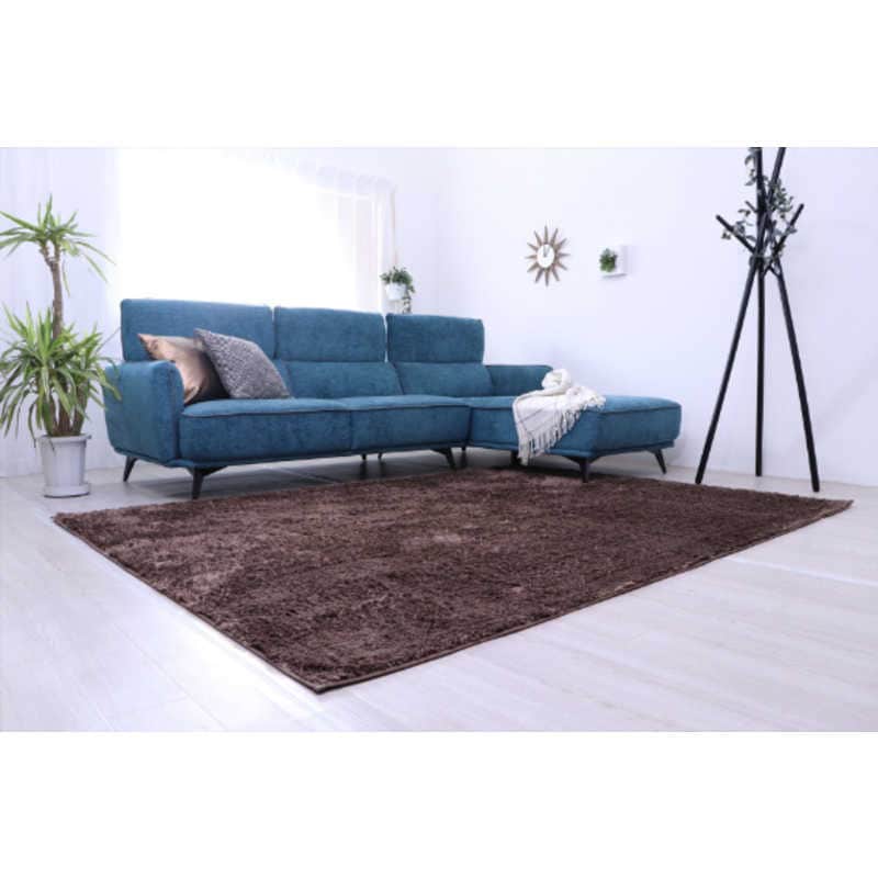 イケヒコ　洗える制菌シャギーラグ ルフォン (約185×185cm/ブラウン)