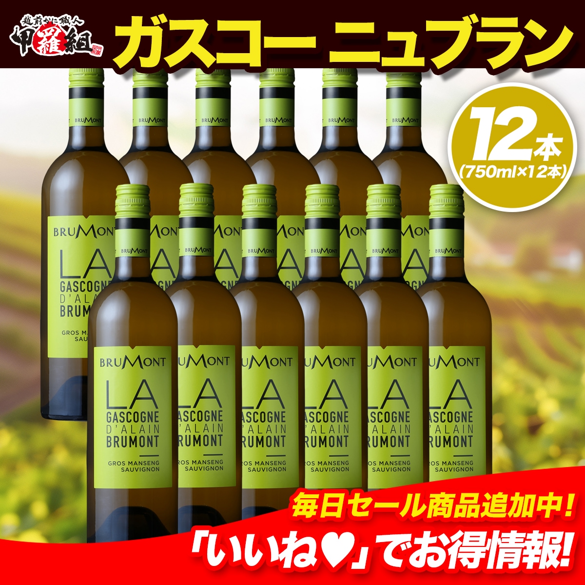 ドメーヌ・アラン・ブリュモン ガスコーニュ ブラン×12本セット　辛口　白　ワイン