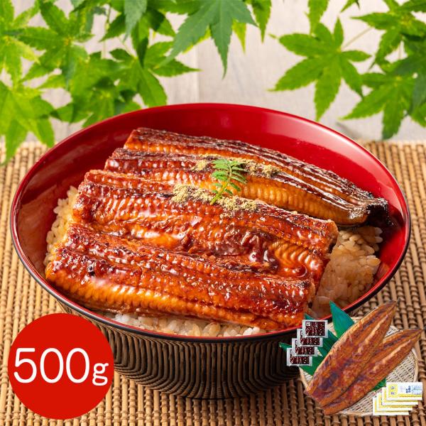 超特大 鹿児島県産うなぎ蒲焼セット 長焼き 500g （長焼き 250g 2尾) / 国産 鰻 ウナギ 冷凍