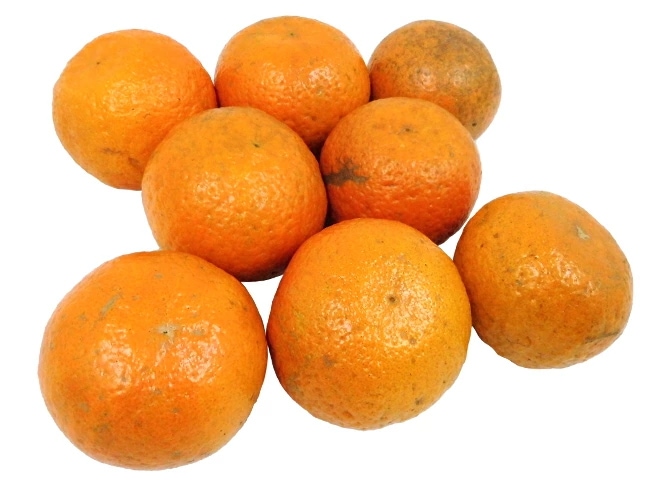奄美大島/屋久島産 =たんかん= 訳あり 2L以上 約2kg 予約 2月以降