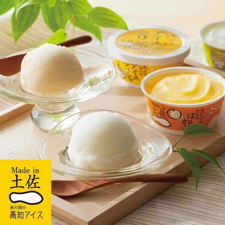 高知 土佐 高知アイスセット 115ml10個 アイスクリーム 離島は配送不可 3410003 お歳暮 お中元 お土産 ご進物 ギフト 贈り物に最適