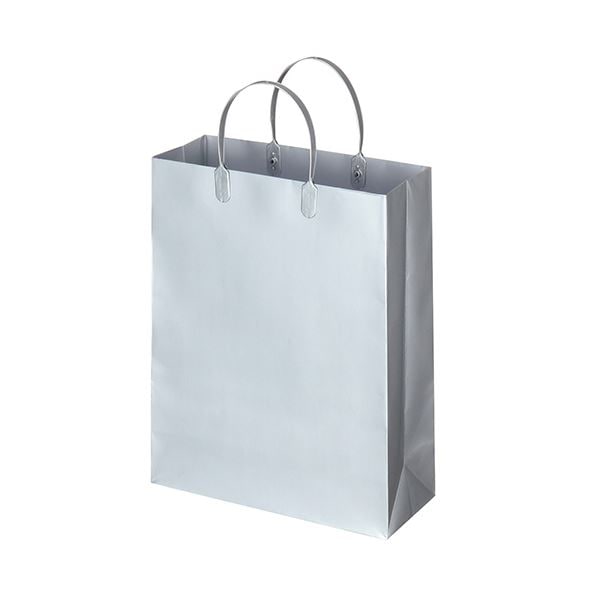 (まとめ) TANOSEE ラミネートバッグ 中縦タイプ シルバー 1パック（10枚） (×10セット) 18,619円