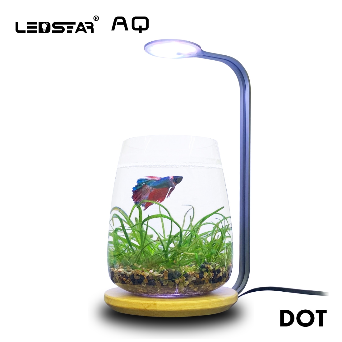 LEDSTAR 水槽 ライト モデルDOT 【 RGBW コンパクトライト 】 LEDライト ボトルアクア PSE認証 メーカー保証 正規代理店 アクアリウム 水槽ライト パルダリウム 熱帯魚 メダカ