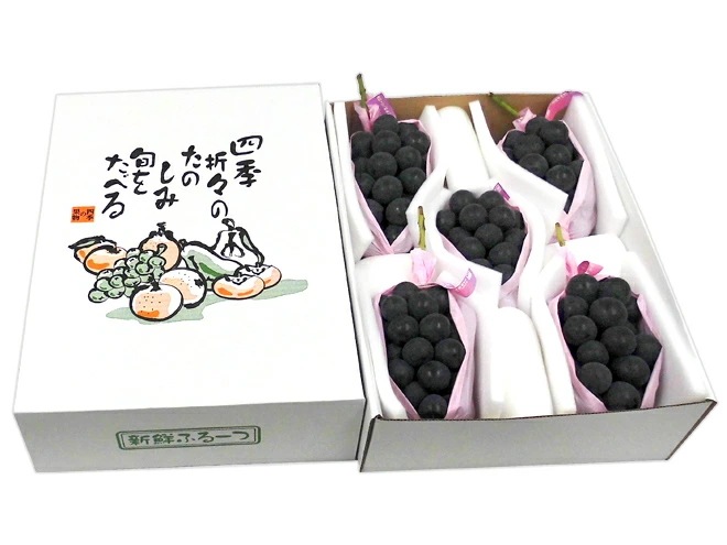長野産 =ナガノパープル= 秀品 4-7房 約3kg 化粧箱 ぶどう 予約 9月以降　[K1] 9,216円