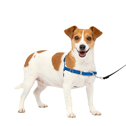 PetSafe イージーウォークハーネス 犬 ハーネス 小型犬 引っ張り防止 調整簡単 抜けない 耐久性が高い 中型犬（S ロイヤルブルー＆ネイビー）
