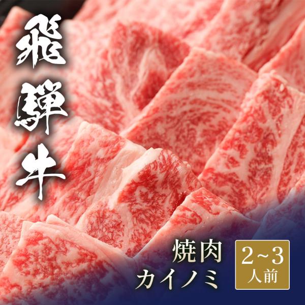 飛騨牛 焼肉 カイノミ 400g / 牛肉 ギフト