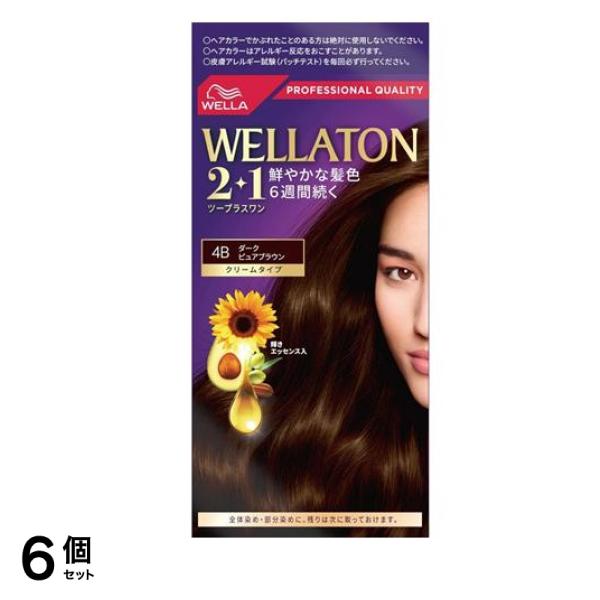トーン2+1(ツープラスワン) クリームタイプ 4B ダークピュアブラウン 1組入 6個セット