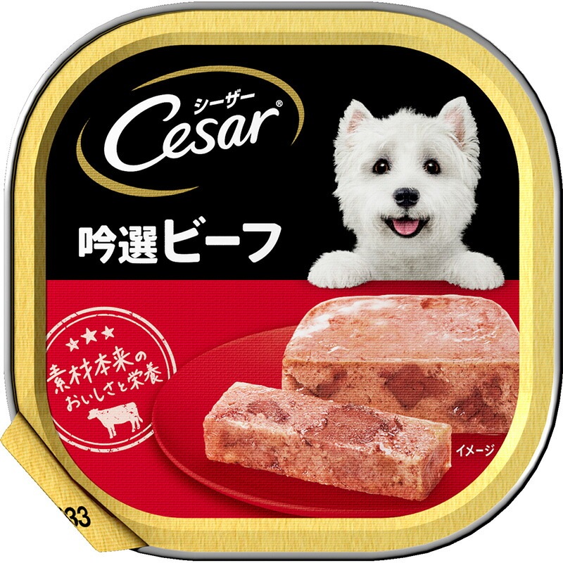 （まとめ買い）マース シーザー 吟選ビーフ 100g 犬用フード [x24]
