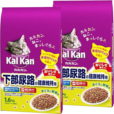比較的美品 まとめ買い 成猫用キャットフード 懐石 + チャオ (CIAO
