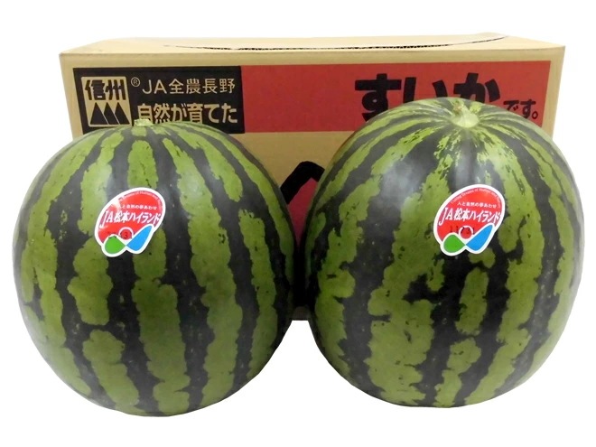 長野県 =松本ハイランドすいか= 秀品 約7kg以上 x2玉 予約 7月下旬以降