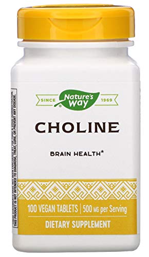 ネイチャーウェイ コリン 500mg 100粒入 (1本) [並行輸入品]