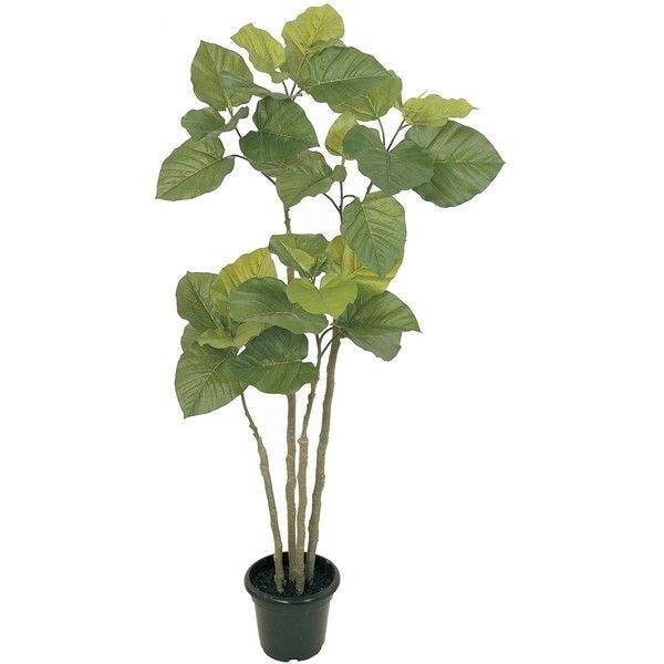 FG005228　造花　Ｓウンベラータ　４Ｆ メーカー直送