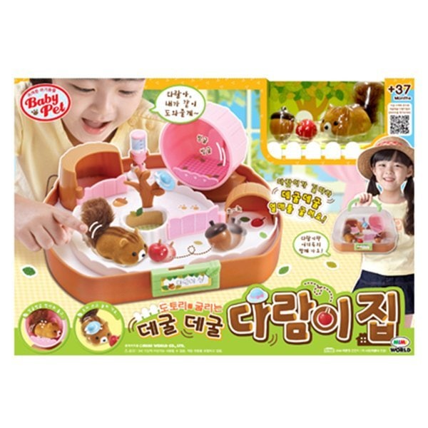 T コロコロ リスの家 リス 動物を育てる