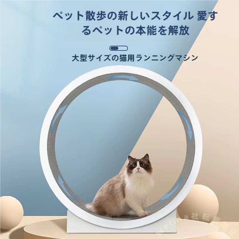 キャットホイール 猫の回し車 猫おもちゃ 運動不足解消 トレッドミルホイール 省スペース 静音設計 お歳暮/プレゼントにも