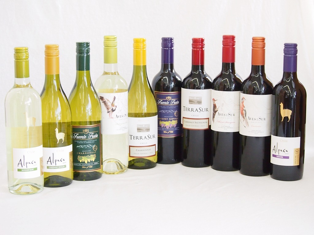 チリ産赤白ワイン10本セット(テラスルカベルネソーヴィニヨン デルスールカベルネ デルスールカルメネ