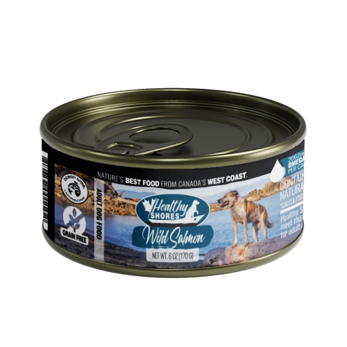 Healthy Shores 犬用ウエットフード[ワイルドサーモン]170g*24缶
