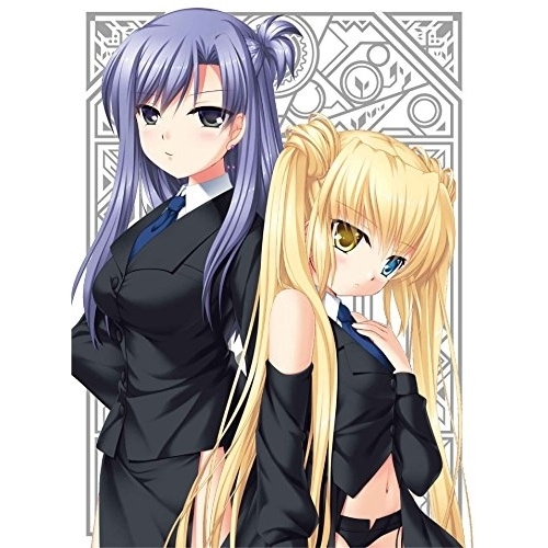 Rewrite 10(完全生産限定版) (DVD) ANZB-13519 4,985円