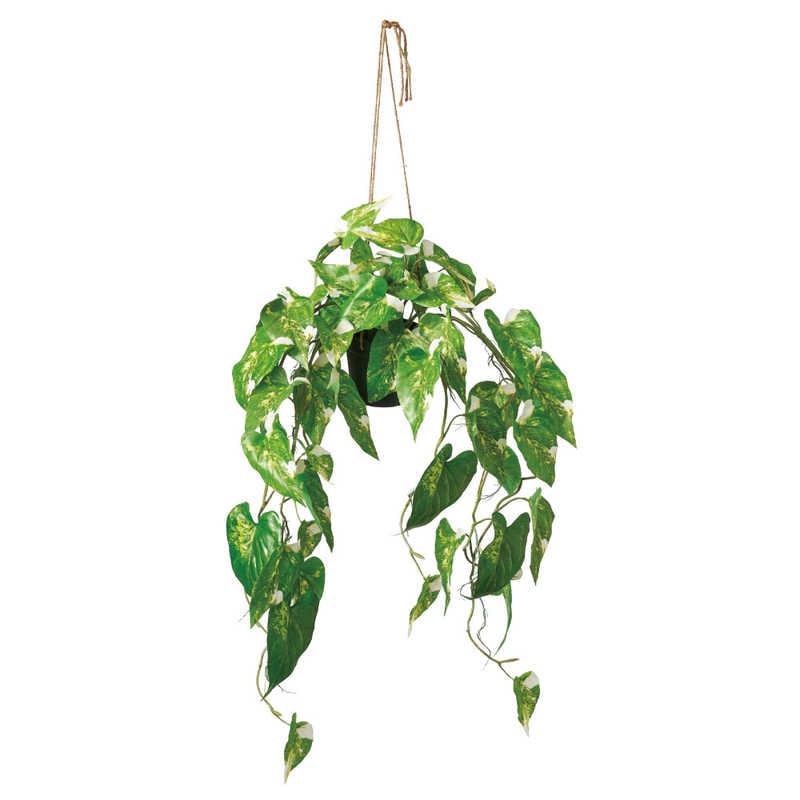アスカ商会　フェイクグリーン ハンギングフィロデンドロン クリームグリーン　A-51096-053A