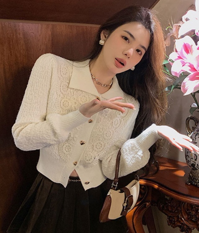 デート モテアイテム ニットソー カーディガン ざっくりニット ショート丈 長袖 レース 刺繍 可愛い きれいめ 上品 おしゃれ かっこいい 可愛い ラブリー キュート ガーリー クール