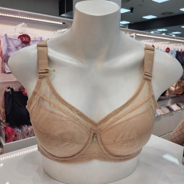 수 L01 補正ブラ フルサイドタイプのぜい肉を整えてくれる製品 BR900 (S40828787)