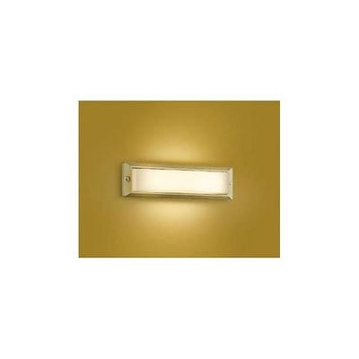 ボリビア産 ナンベイオオタガメ 99mm 【公式通販】