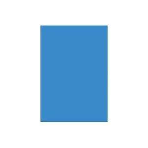 (業務用2セット)大王製紙 再生色画用紙/工作用紙 [四つ切り 100枚x2セット] イルカ