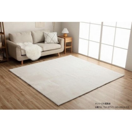 ラピアス ラグ 140×200cm SWH 3987749