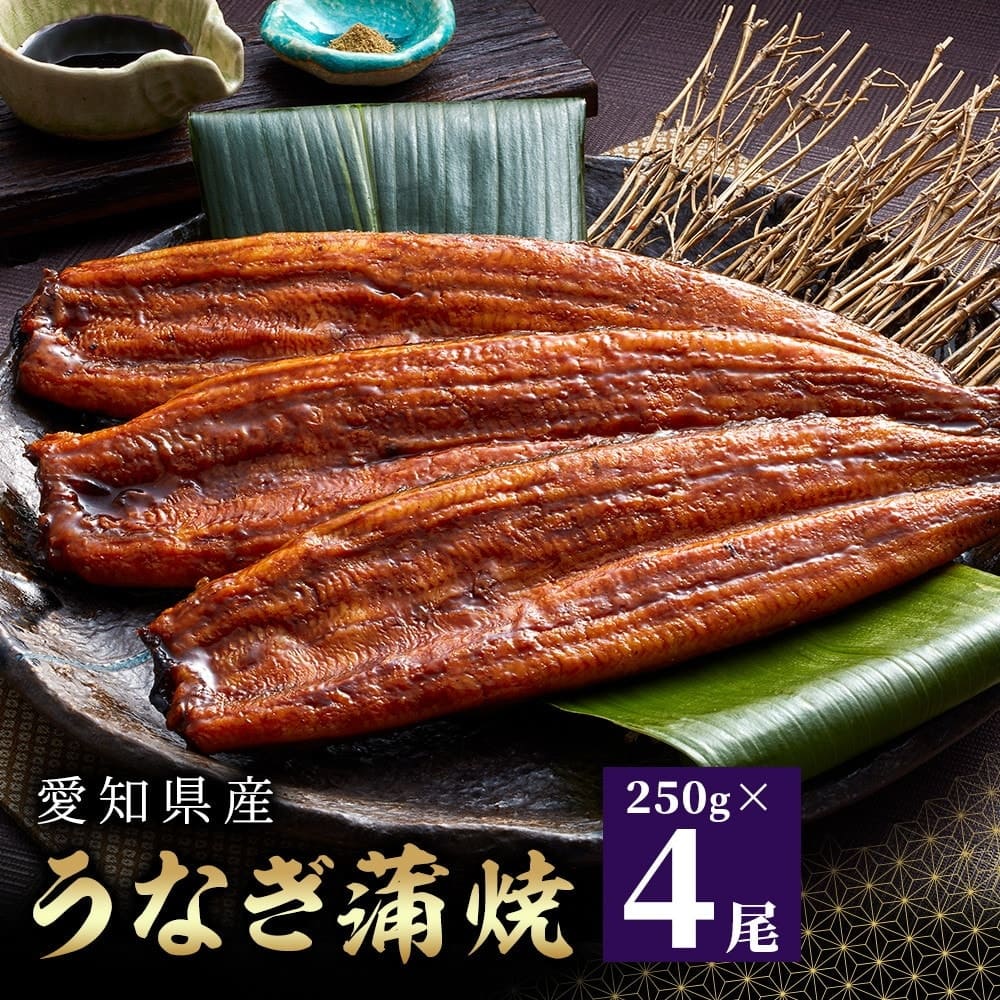 愛知県産うなぎ蒲焼 約250g×4尾入 タレ・山椒付鰻 うなぎ 魚 蒲焼き
