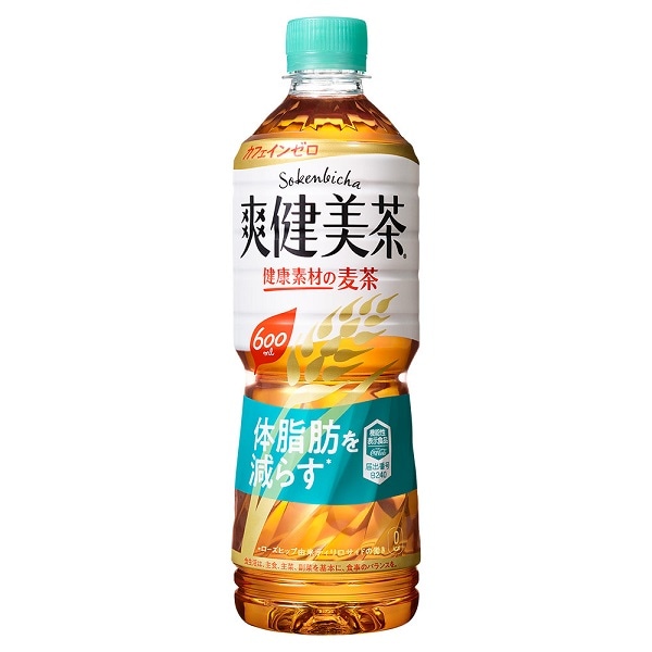 【2ケース】爽健美茶 健康素材の麦茶 600mlPET (24本入*2)