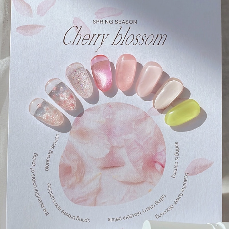 [DVOK] 【Cherry Blossom】 8色 セット / 桜コレクション（さくらコレクション） 多彩なカラーミックス